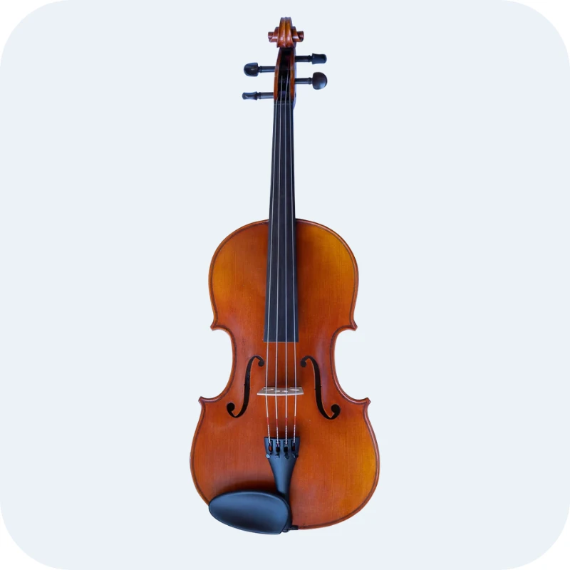viola