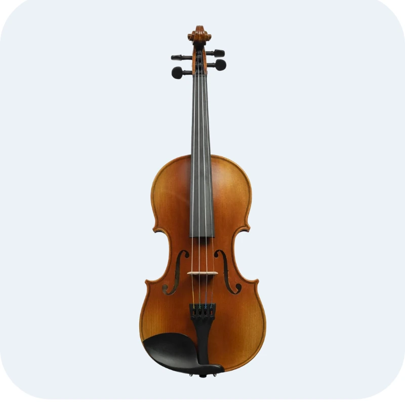 violin